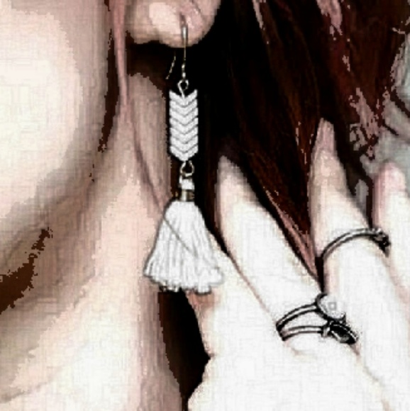 HP~ Arrowhead and tassell earrings - Picture 6 of 7